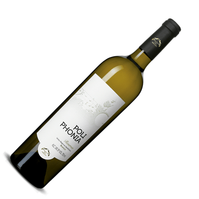 The Best Wines From Portugal  wines The Best Wines From Portugal Poliphonia Reserva Branco 2016
