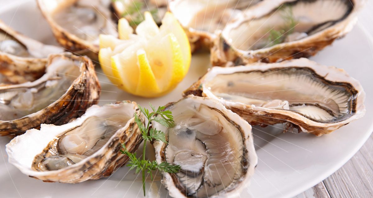Amazing Seafood Places To Taste The Summer